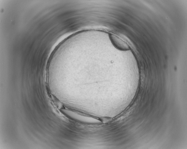 X0000087741044200706041032