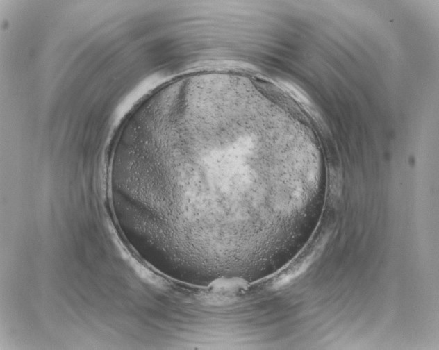 X0000087741046200706041032