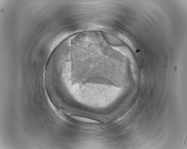 X0000087741047200706041032