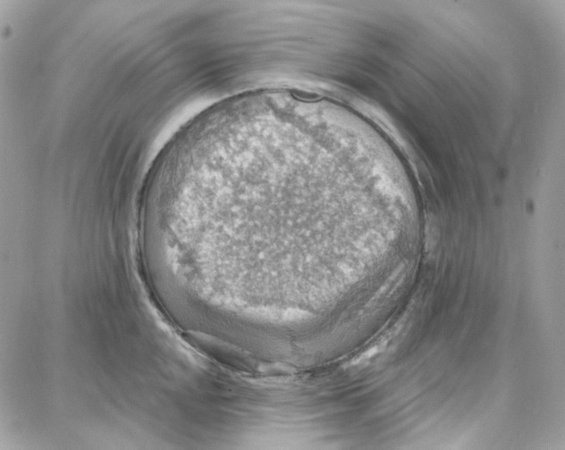 X0000087741048200706041032