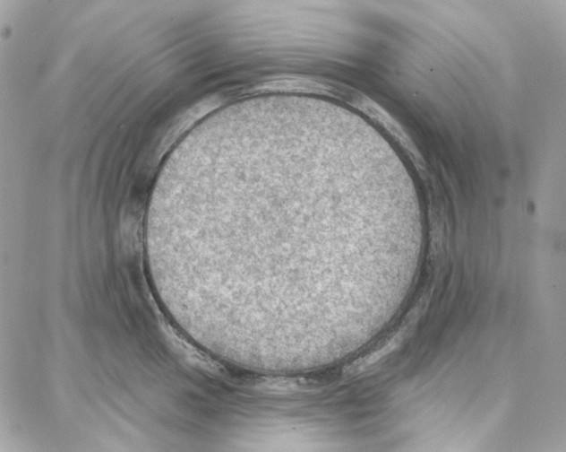 X0000087741049200706041032