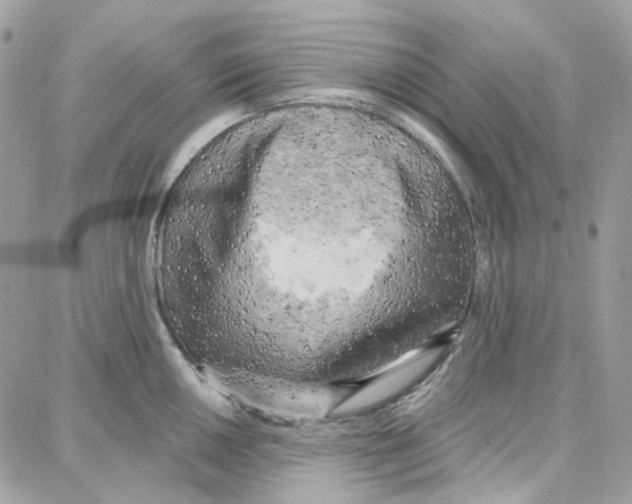 X0000087741050200706041032