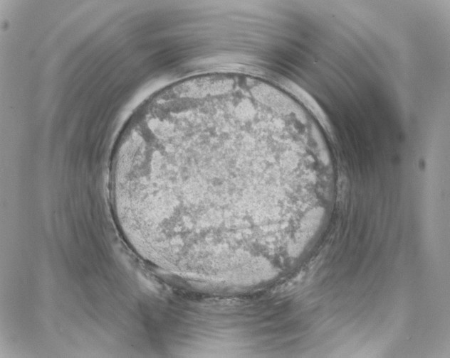 X0000087741051200706041032