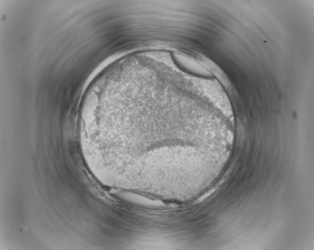 X0000087741052200706041032