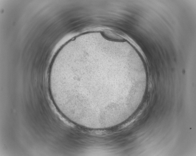 X0000087741053200706041032