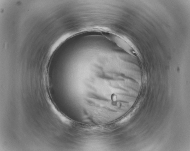 X0000087741054200706041032