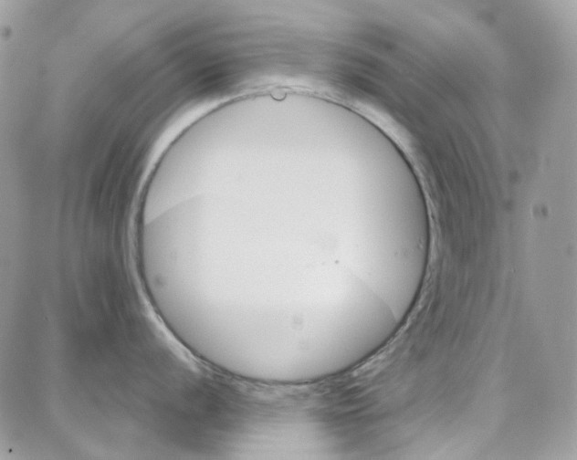 X0000087741056200706041032