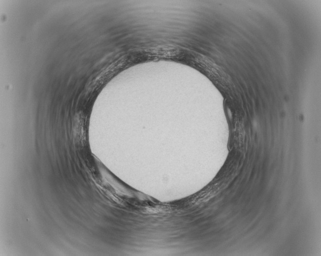 X0000087741058200706041031