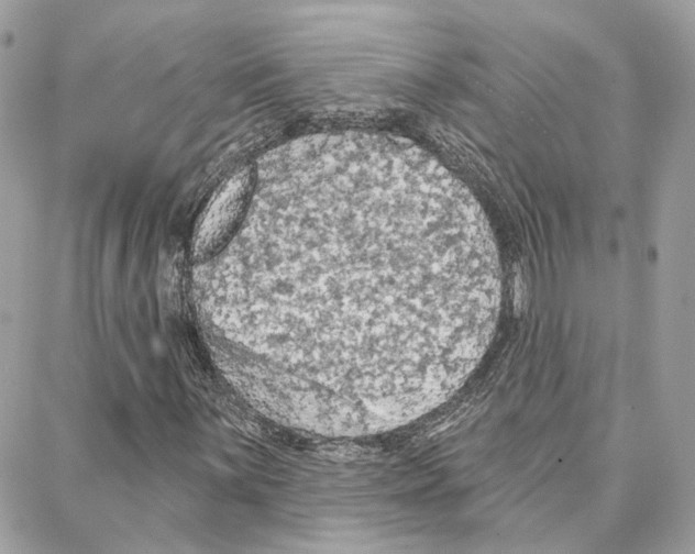 X0000087741059200706041031