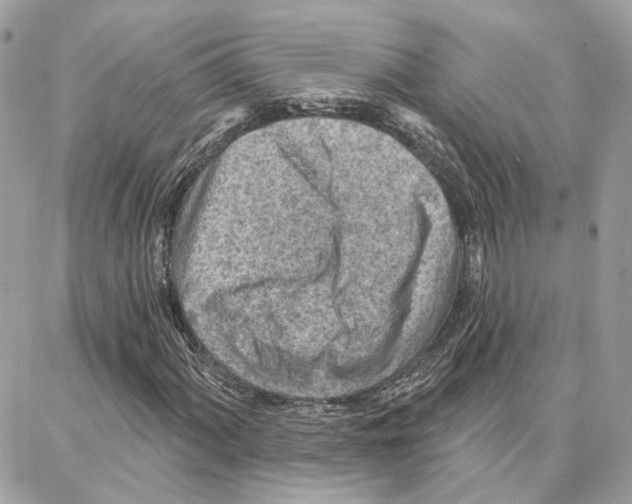 X0000087741060200706041031