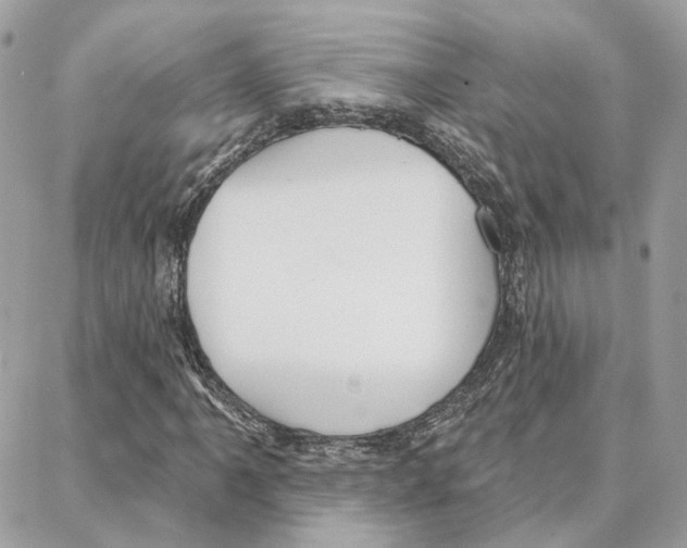 X0000087741061200706041031