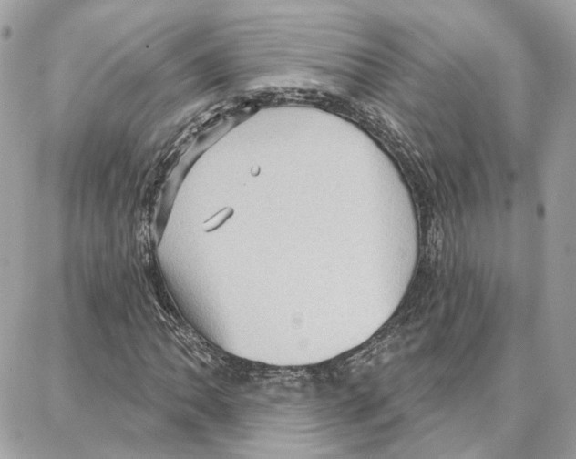 X0000087741062200706041031