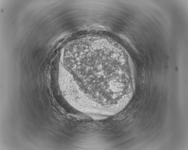 X0000087741063200706041031