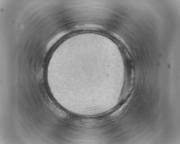 X0000087741066200706041031