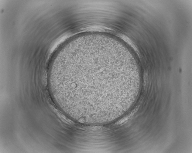 X0000087741067200706041031