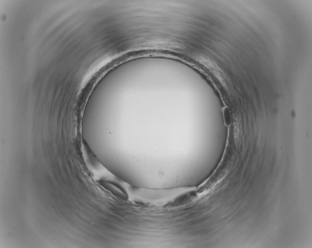 X0000087741069200706041031