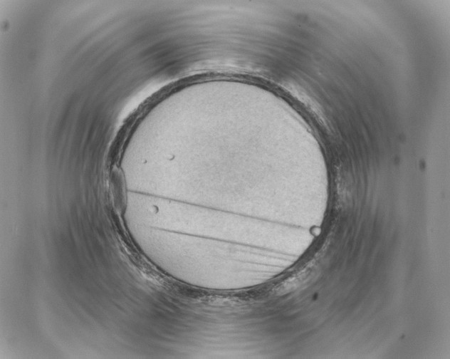 X0000087741070200706041031