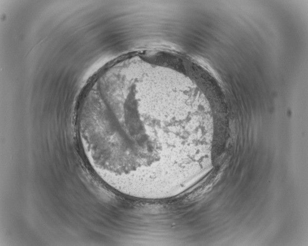 X0000087741071200706041031