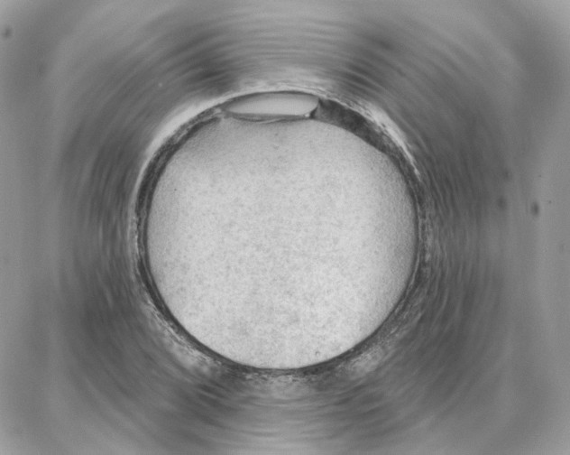 X0000087741072200706041031