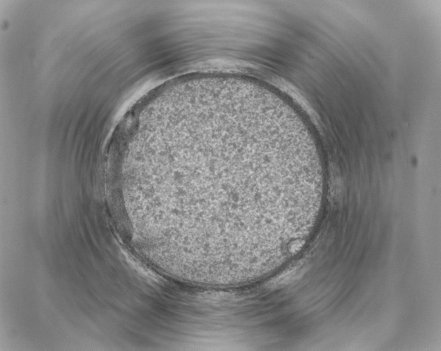 X0000087741075200706041031