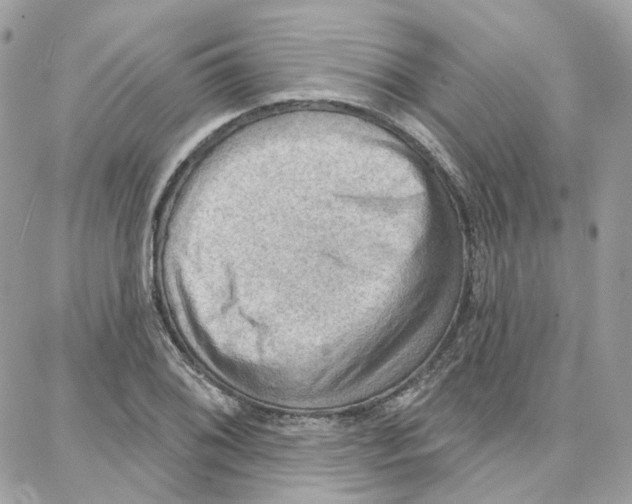 X0000087741076200706041031