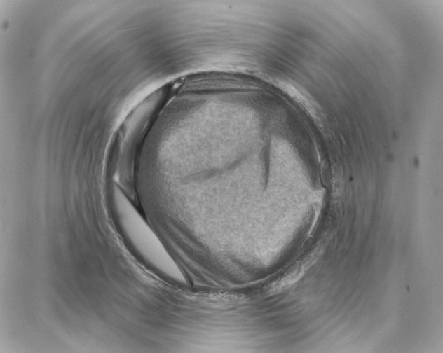 X0000087741077200706041031