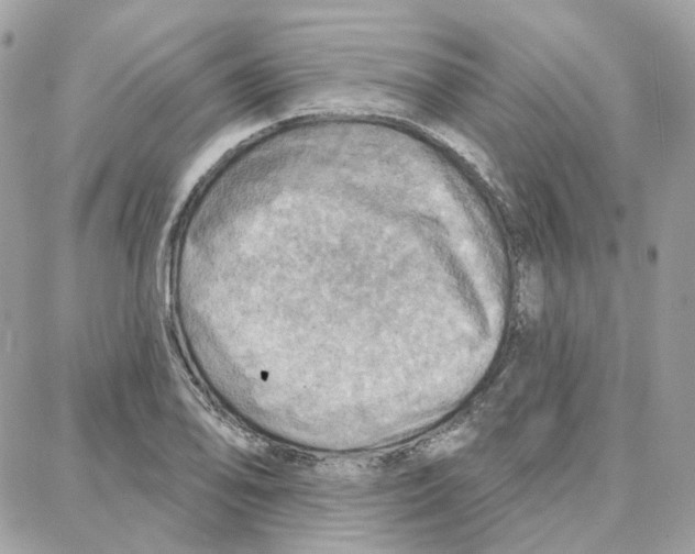 X0000087741078200706041031