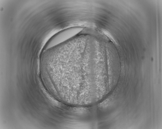 X0000087741079200706041031