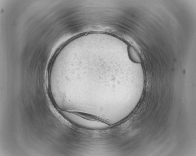 X0000087741080200706041031