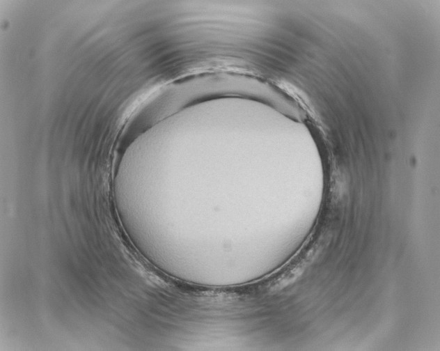 X0000087741081200706041031