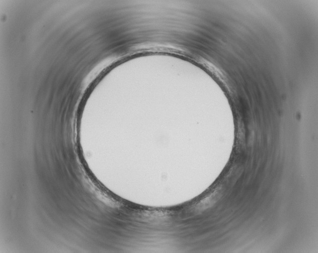 X0000087741082200706041031