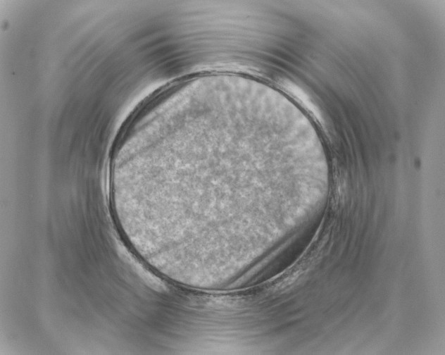 X0000087741084200706041031