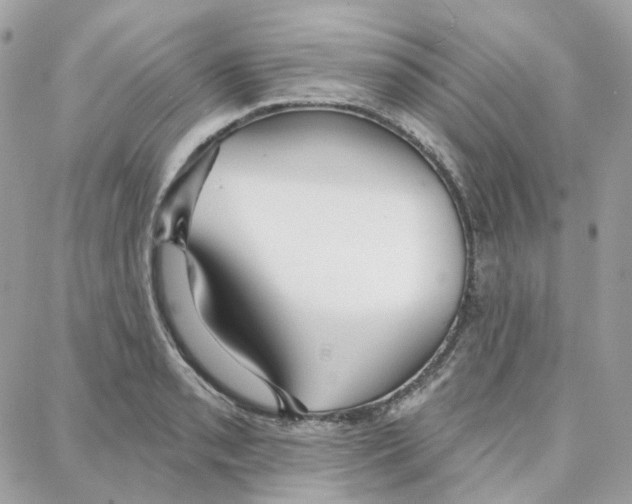 X0000087741085200706041031