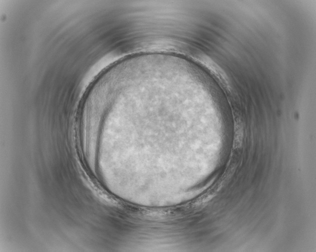 X0000087741086200706041031