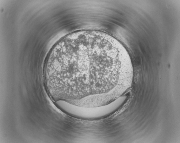 X0000087741087200706041031