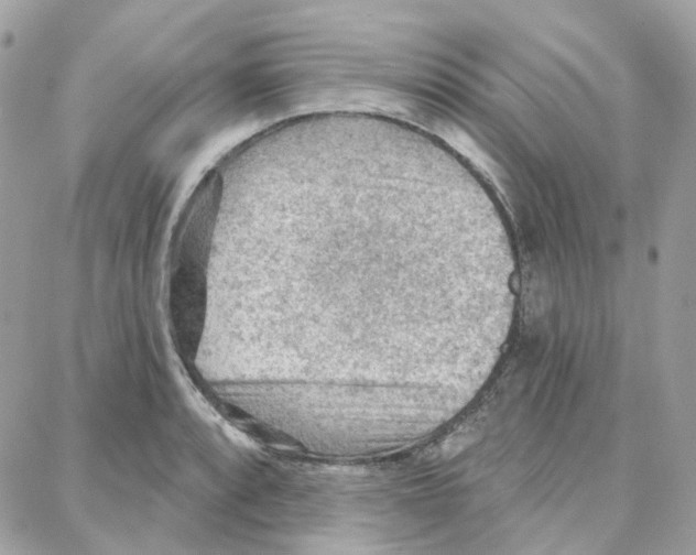 X0000087741088200706041031