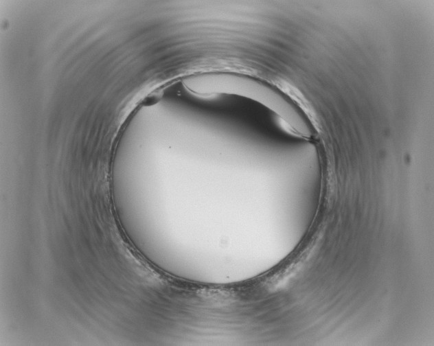 X0000087741089200706041031