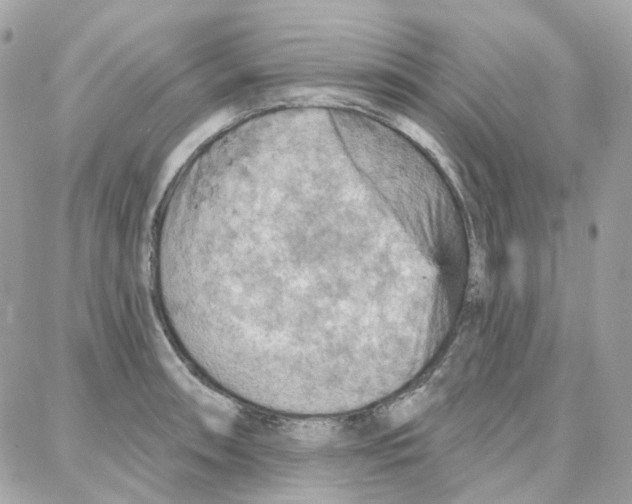 X0000087741090200706041031