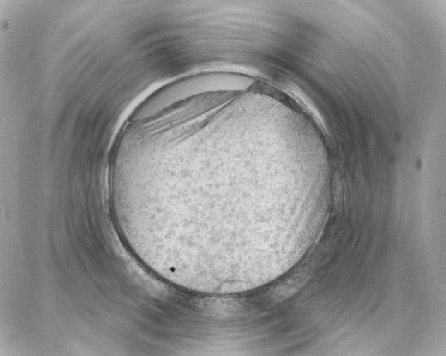 X0000087741092200706041031