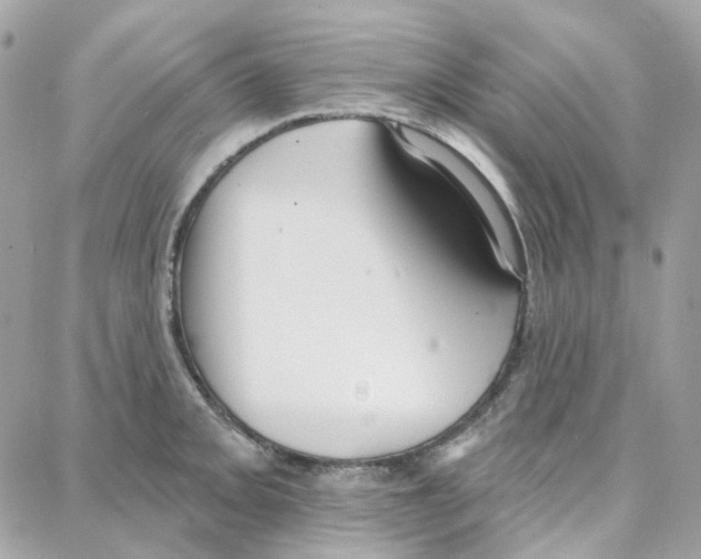 X0000087741093200706041030