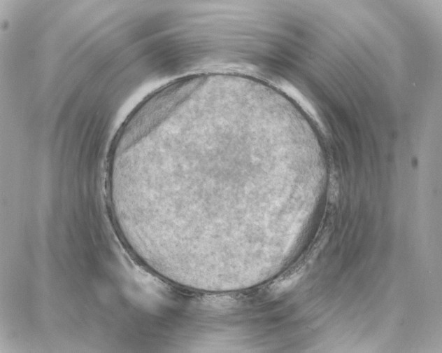 X0000087741094200706041030