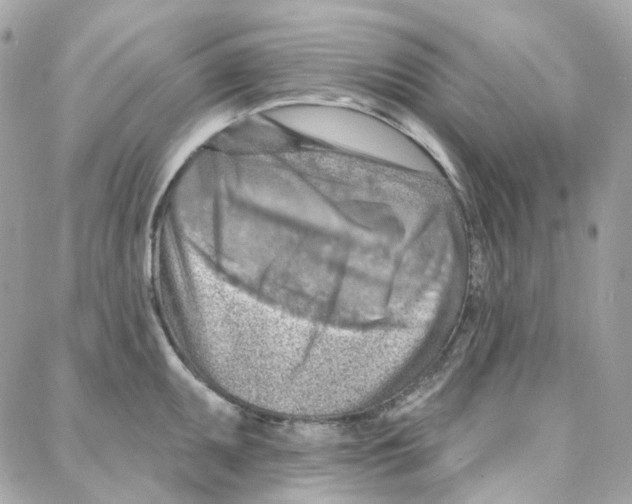 X0000087741095200706041030