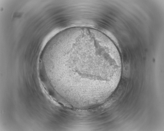 X0000087741096200706041030