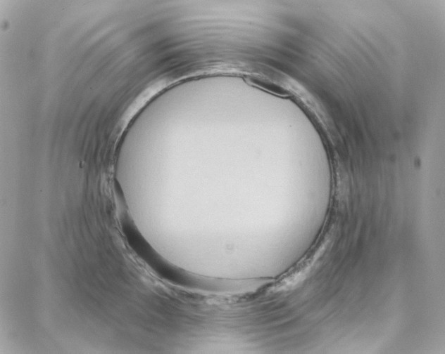 X0000087741097200706041030