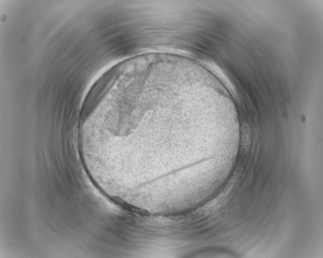 X0000087741100200706041030