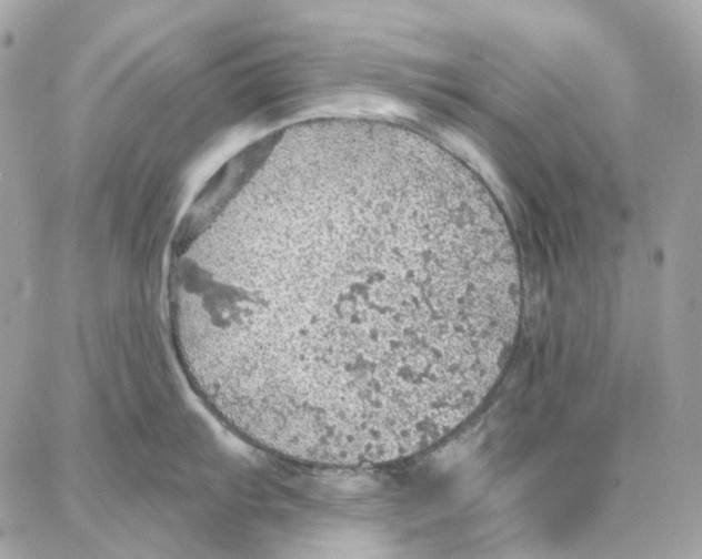 X0000087741103200706041030