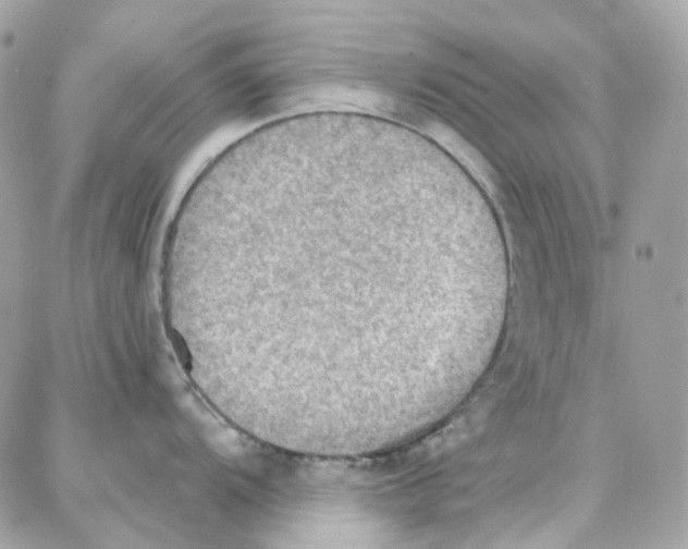 X0000087741104200706041030