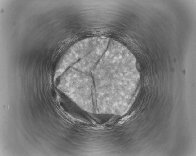 X0000087741106200706041030