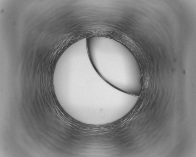 X0000087741108200706041030