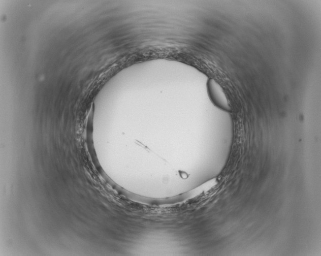 X0000087741109200706041030